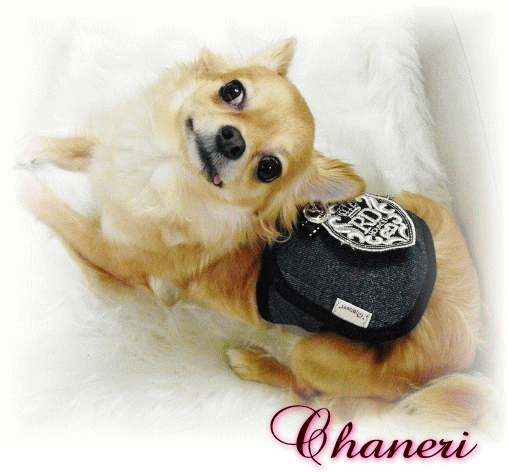 マナーベルト*【Chaneri Original】