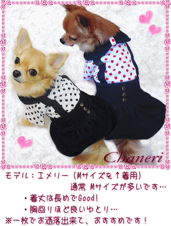 犬　服　愛犬の服　ワンピース