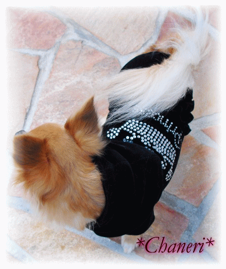 クラウン&フリル オールインワン　メール便（犬　服　犬服　Chaneri）