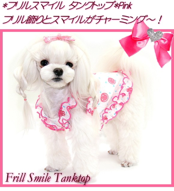 涼しいノースリーブ?！犬　犬服