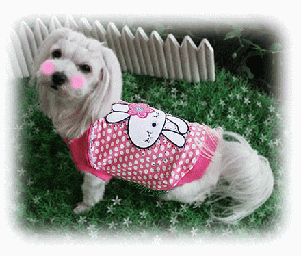 水玉うさちゃん Tシャツ（犬　服　犬服　Chaneri）