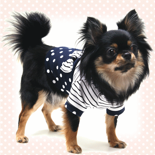 春のお出かけに！普段着に楽チンでもってこいです〜！（犬　犬服　Chaneri）
