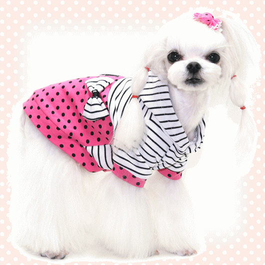 水玉とボーダーが上品オシャレなパーカー！背中のリボンがとっても可愛い〜！(*^_^*)（犬　服　シャネリー）