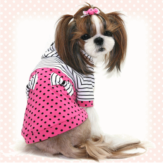 春のお出かけに！普段着に楽チンでもってこいです〜！（犬　犬服　Chaneri）