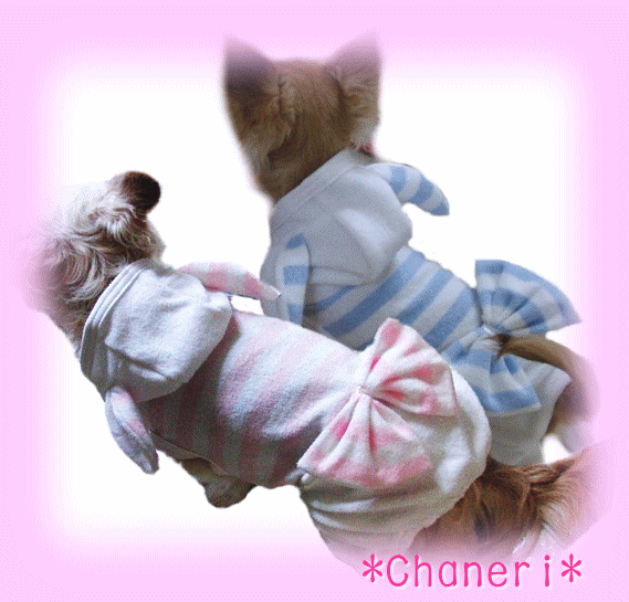 パジャマに！メール便（犬　服　犬服　Chaneri）