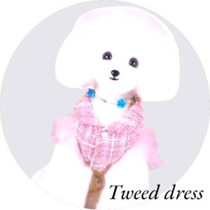 画像19: sale 愛犬 服 ツイードドレス ハーネスワンピース パール 蝶 超小型犬 小型犬【メール便無料】