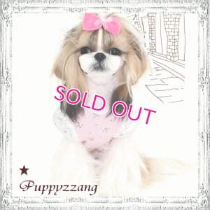 画像5: ★メール便無料【ポイント10倍+ハンガー】愛犬用/新作/夏/シルバースターパフTEE Puppyzzang