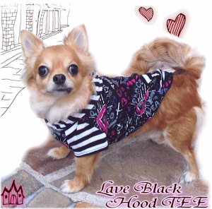 画像2: 【再入荷】【1380円】愛犬用/春 夏/LoveブラックフードTEE★Puppyzzang【メール便OK】