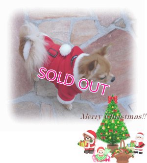 画像5: 【再入荷】【大特価】【1500円】メリークリスマス！サンタさんフード【puppyzzang】【セット割】1480　xmas