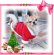 画像3: 【再入荷】【大特価】【1500円】メリークリスマス！サンタさんフード【puppyzzang】【セット割】1480　xmas (3)