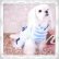 画像3: 期間限定価格【メール便OK】冬/愛犬服/ボーダーハートオールインワン（appleapple）fw-1542【セット割引対象商品】1880 (3)