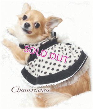 画像2: 【再入荷】秋冬春/愛犬服/水玉のカメオドレス【メール便OK】