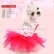 画像3: 犬 服/愛犬[メール便無料]Cherry Shirring Dress[PUPPYANGEL]PA-DR102 (3)