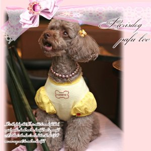 画像4: 犬 服/最終Sale【1050円】春 夏・パリスパフTEE　イエロー/ParisDog