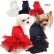 画像1: PUPPYANGEL/新作Party Tutu Dress/PA-DR123 【送料無料】 (1)