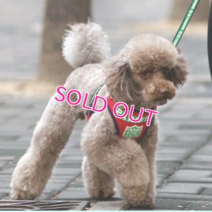 画像2: [期間限定]セール[1780円][メール便無料]ＮＦＬハーネス＆リード/Soft Harness/Parisdog/Boy/Girl/S/M/L