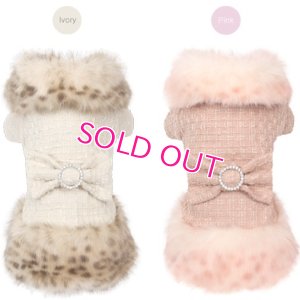 画像2: 犬服【再入荷】【送料無料】Marple Millionaire Coat【PUPPYANGEL★パピーエンジェル】PA-OW209