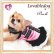 画像3: 【再々入荷】【犬 服】【2480円】カメリア＆クラウンストーンのクールキュートなワンピース【LOVABLEDOG】 (3)