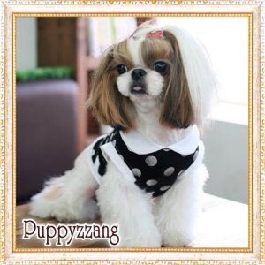 画像3: 【Sele】【メール便OK】犬服/キュートな丸襟の水玉TEE【PUPPYZZANG】 