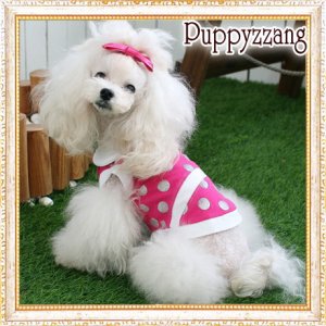 画像2: 【Sele】【メール便OK】犬服/キュートな丸襟の水玉TEE【PUPPYZZANG】 