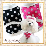 【Sele】【メール便OK】犬服/キュートな丸襟の水玉TEE【PUPPYZZANG】 