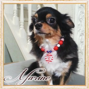 画像3: 【セール】【1380円】【メール便OK】愛犬用　マリーンネックレス　【Chaneri】レッド・ブルー・ピンク