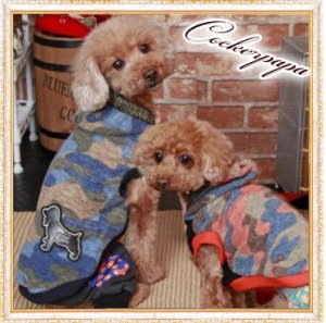 画像3: 【犬 服】【セール】カモ柄フーディーCamo Hood Tee【コカパパ】【Cockerpapa】【メール便OK】