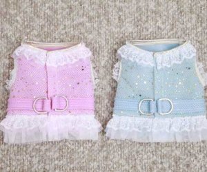 画像7: 【新作】【Sale】【2780円】【犬 服】ウエアハーネス　フリルスターズ【コカパパ】【メール便OK】