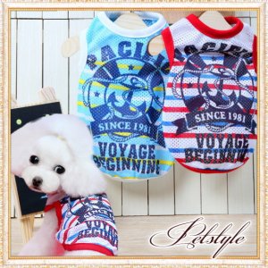 画像1: 【犬 服】【在庫限りSale】【777円】【メール便OK】マリンボーダーメッシュTEE【Petstyle】