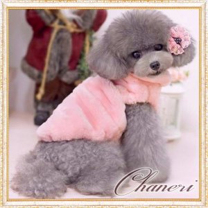 画像16: 【sale】【新色】【犬 服】【カメリアリボン付】PETCOふわふわコート【メール便OK】