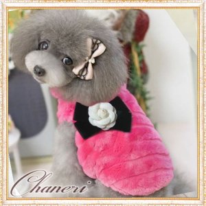 画像4: 【sale】【新色】【犬 服】【カメリアリボン付】PETCOふわふわコート【メール便OK】