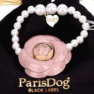 画像1: 【犬用】【アクセサリー】カメリア＆パールのネックレス【Parisdog】【メール便OK】