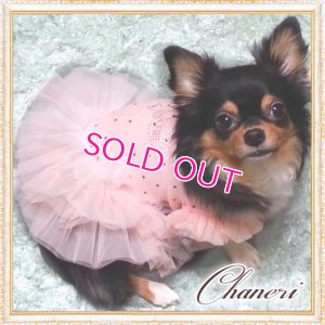 画像1: 【新作】【値下げ】【Sale】【1980円】【犬 服】ふわふわフリルの水玉ワンピ【petstyle】【メール便OK】