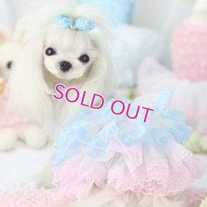 画像5: 【新作】【春夏】【Sale　2480円】【犬 服】パフ袖のレースチュチュドレス【Lollypop】【メール便OK】
