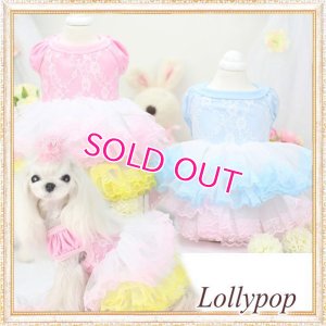 画像2: 【新作】【春夏】【Sale　2480円】【犬 服】パフ袖のレースチュチュドレス【Lollypop】【メール便OK】