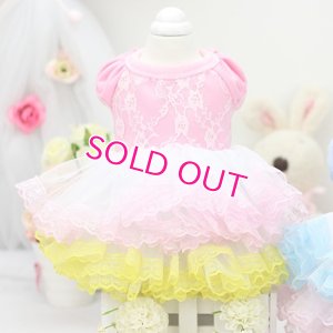 画像8: 【新作】【春夏】【Sale　2480円】【犬 服】パフ袖のレースチュチュドレス【Lollypop】【メール便OK】
