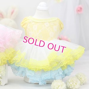 画像7: 【新作】【春夏】【Sale　2480円】【犬 服】パフ袖のレースチュチュドレス【Lollypop】【メール便OK】
