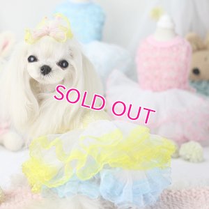 画像4: 【新作】【春夏】【Sale　2480円】【犬 服】パフ袖のレースチュチュドレス【Lollypop】【メール便OK】
