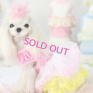 画像3: 【新作】【春夏】【Sale　2480円】【犬 服】パフ袖のレースチュチュドレス【Lollypop】【メール便OK】