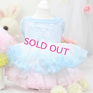 画像6: 【新作】【春夏】【Sale　2480円】【犬 服】パフ袖のレースチュチュドレス【Lollypop】【メール便OK】
