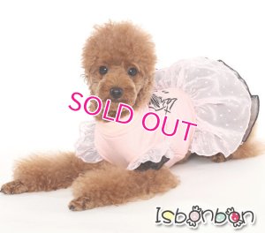 画像2: 【在庫限り】【Mサイズのみ】【Sale　2000円】【犬 服】シフォンフリルのリボンワンピ【ISBONBON】【メール便OK】