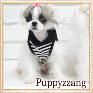 画像5: 【新作】【犬 服】【Sale】【1580円】フード付きボーダータンクトップTEE【Puppyzzang】【メール便OK】
