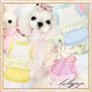 画像1: 【新作】【春夏】【Sale　1480円】【犬 服】レース＆フリルのボーダーTEE【Lollypop】【メール便OK】