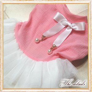 画像6: 【在庫Sale】【1380円】【犬 服】ホワイトリボンのチュチュドレス【メール便OK】