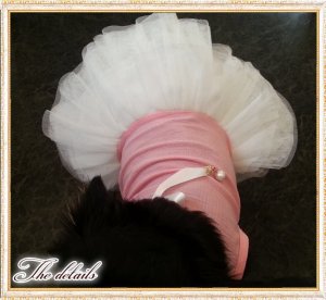 画像14: 【在庫Sale】【1380円】【犬 服】ホワイトリボンのチュチュドレス【メール便OK】