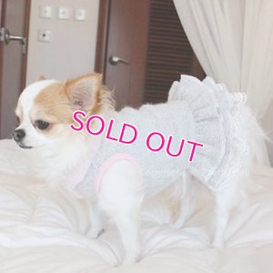 画像12: 【犬 服】【30％OFF】【Sale3680円】 Cocoニッティードドレスグレー【PrettyPet】【メール便OK】