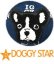 画像12: 【犬 服】【新作】 ブルドッグのカラーTEE【doggystar】【コカパパ妹】【メール便OK】