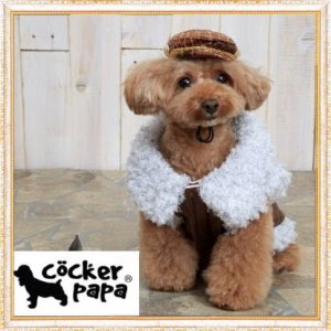 画像4: 【犬 服】【新作】 ロックなスカルのボアコート【doggystar】【コカパパ妹】【メール便OK】