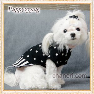 画像3: 【Sale】【犬服】オシャレなモノクロ長袖TEE【PUPPYZZANG】【メール便OK】