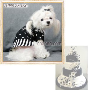 画像10: 【Sale】【犬服】オシャレなモノクロ長袖TEE【PUPPYZZANG】【メール便OK】